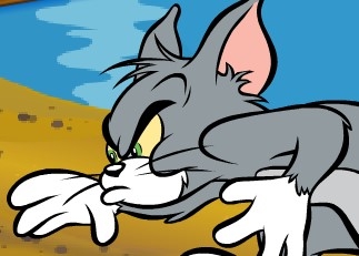 Игра Кот Переходит Дорогу : Том и Джерри