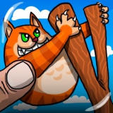 Выстрел Сердитой Кошки