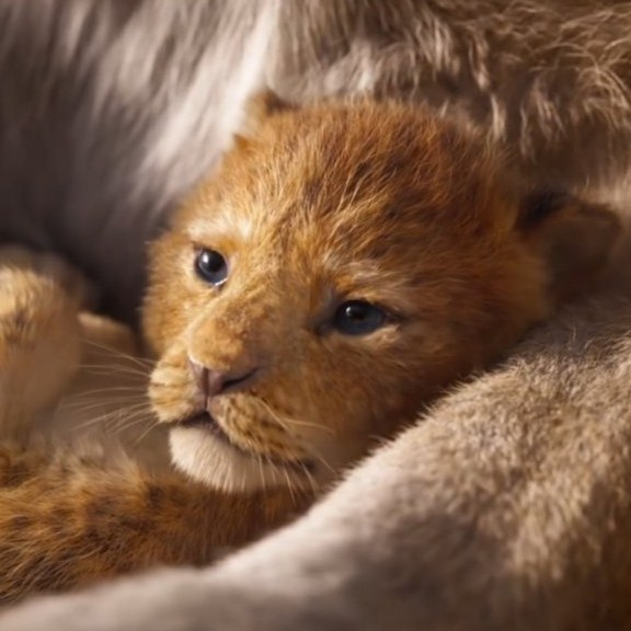 Игра Король Лев 2019 Пазл: Малыш Симба