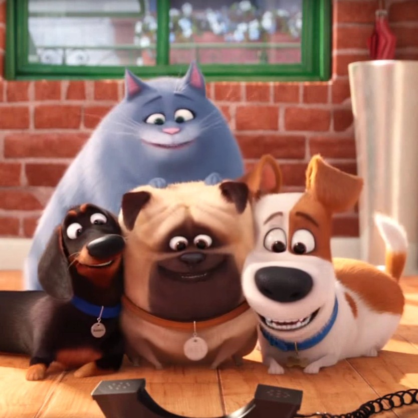 Игра Тайная Жизнь Домашних Животных 2: Друзья