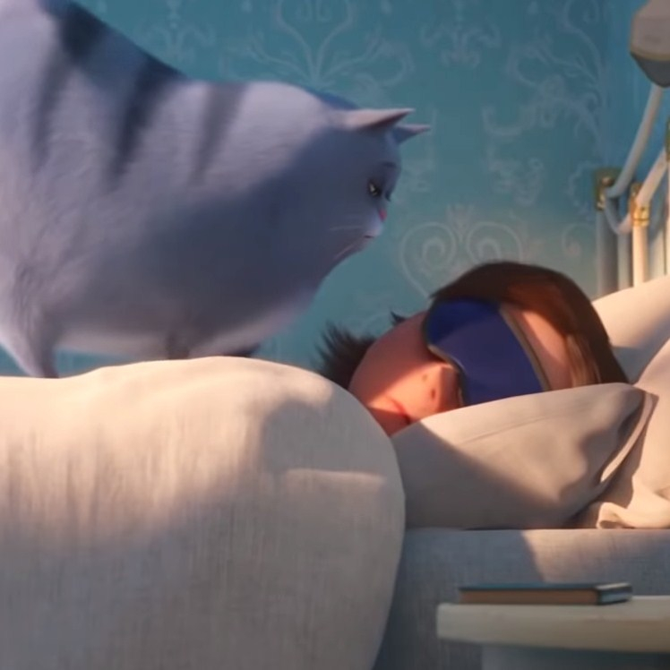 Игра Тайная Жизнь Домашних Животных 2: Хлоя