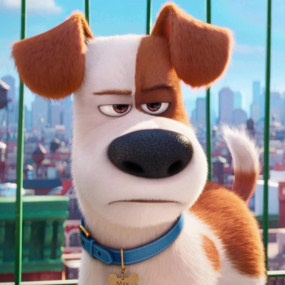 Игра Тайная Жизнь Домашних Животных 2: Макс