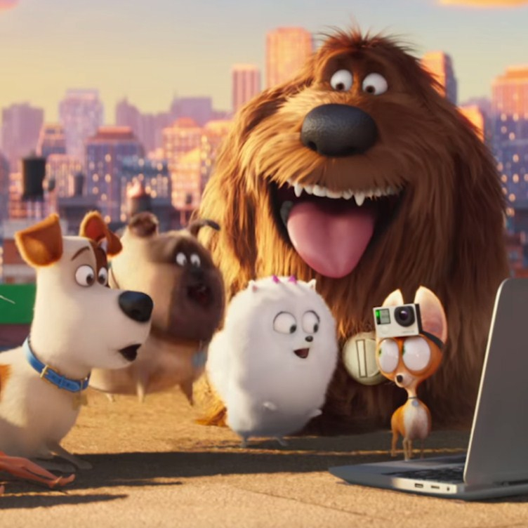 Игра Тайная Жизнь Домашних Животных 2: Веселая Команда