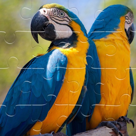 Игра Пазл Делюкс