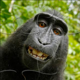 Интересный Пазл