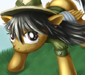 Игра Пони - Путешествие Дэринг Ду