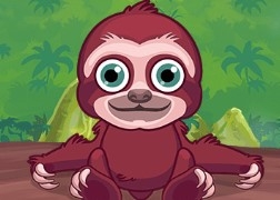 Игра Тесты: Зверушка Из Джунглей