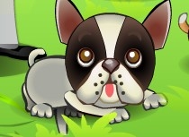 Игра Уходза Щенками