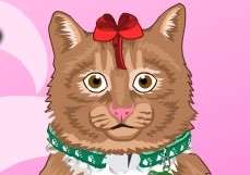 Игра Заблудившийся Кот