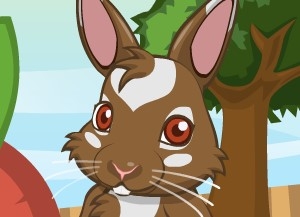 Игра Забота и Уход  Кролика