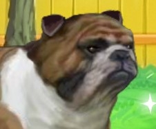 Игра Уход за Бульдогом