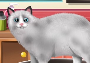 Игра Зверская Красота 2