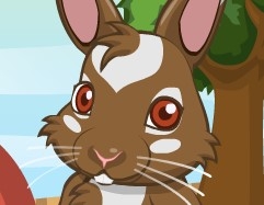 Игра Любимый Кролик