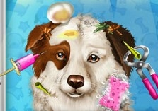 Игра Лечим Собачку