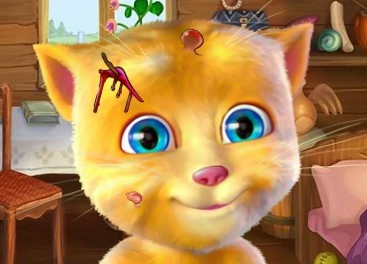 Игра Джинжер у Доктора