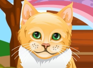 Игра Рыжий Кот