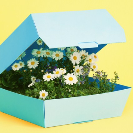 Игра Тест: Какой Ты Цветочек