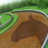 Гонки на Лошадях на Двоих