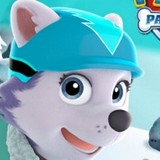 Щенячий Патруль: Вниз по Склону