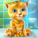 Говорящий Кот Джинджер