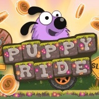 Игра Гонки Щенка