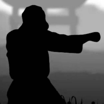 Игра Бой с Тенью