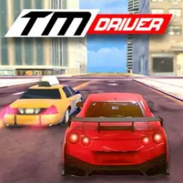 Игра Водитель ТМ