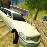 Водитель Лимузина 3Д