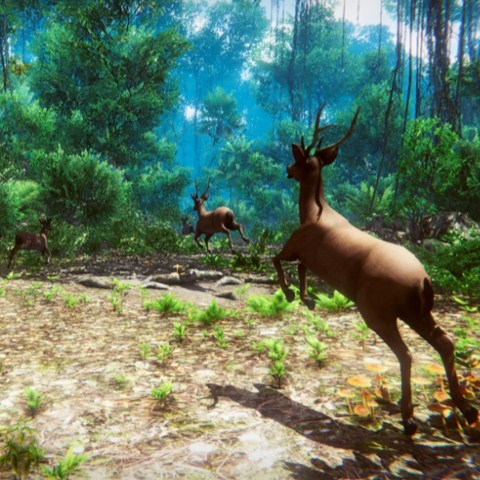 Игра Охотник 3Д