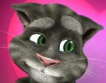 Игра Кот Том: День Валентина