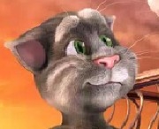 Игра Говорящий Кот: Влюбился