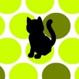 Поймай Кота