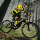 МТБ Про Гонщик