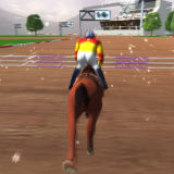 Чемпионат По Прыжкам Лошадей