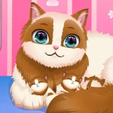 Игра Милая Кошечка Беременна