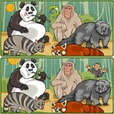 Игра Сафари На Дикой Природе: Пять Отличий