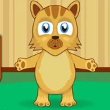 Игра Уход за Котенком