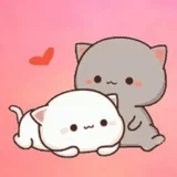 Игра Уход За милым Котиком