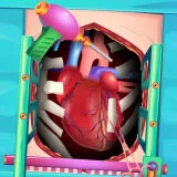 Игра Операция по Пересадке Сердца