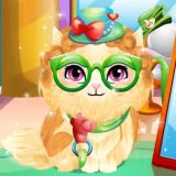 Игра Уход за Бродячей Кошечкой